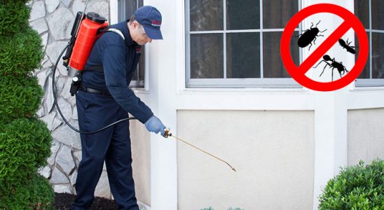 Tuzla Böcek İlaçlama böcek ilaçlama ve haşere kontrolü — ilaclama-tr.com
